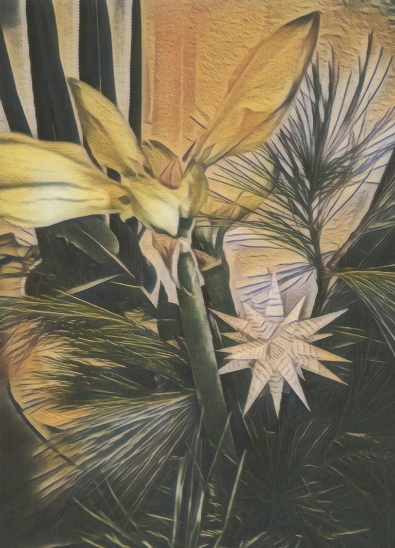 Weihnachtsgrüße des Fördervereins