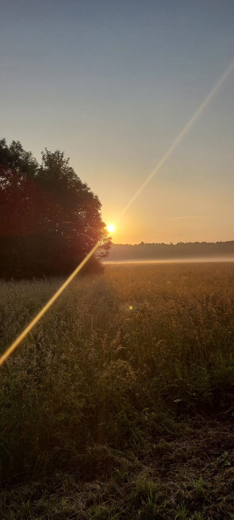 Unterrichtsbeginn – neu –